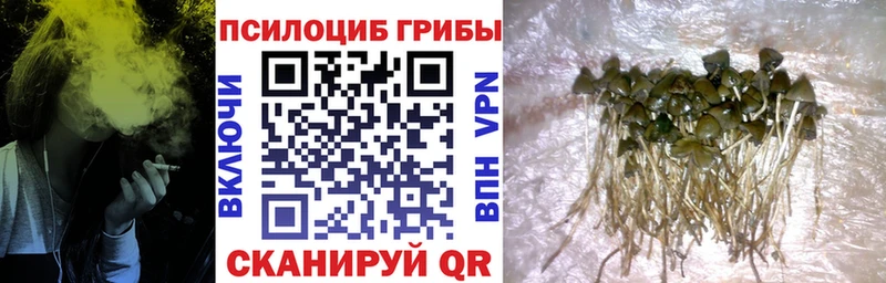 Галлюциногенные грибы ЛСД  закладки  Холм 